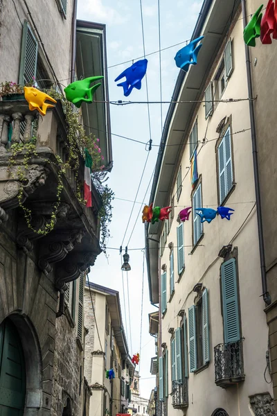 Vliegende vissen over een straat in Citta Alta Bergamo — Stockfoto