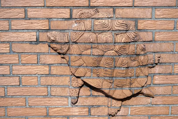 Turtle relief on the wall outside the zoo in Berlin — Stock Photo, Image
