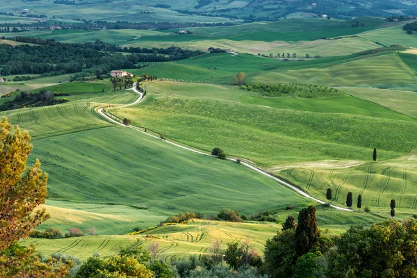 Terras agrícolas abaixo de Pienza na Toscana — Fotografia de Stock