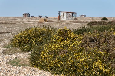 Eski kulübeleri ve tekneler Dungeness sahilde
