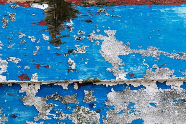 Boya Dungeness, terk edilmiş bir teknede peeling