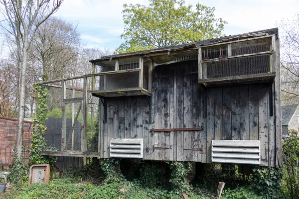 Παλιό κοτέτσι στο St Fagans Εθνικό Μουσείο Ιστορίας στο Κάρντιφ — Φωτογραφία Αρχείου