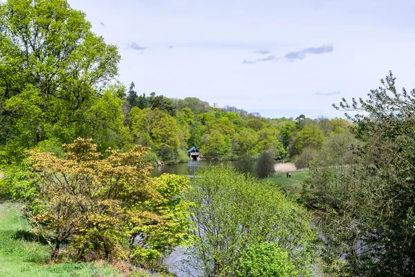 Pohled do loděnice na Winkworth Arboretum v Hascombe, Surre — Stock fotografie