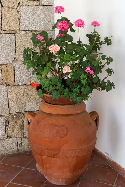 Bloemen in de kerk van St. Johannes de Doper in Cannigione — Stockfoto