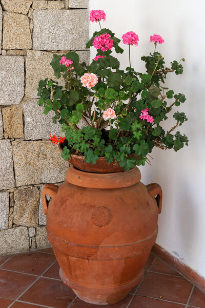 Flowers inside the Church of St. John the Baptist in Cannigione 