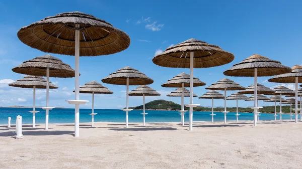 Sonnenschirme am Strand von liscia ruja in Sardinen — Stockfoto