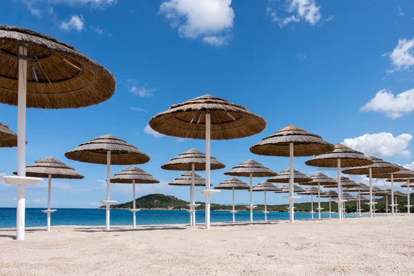 Sonnenschirme am Strand von liscia ruja in Sardinen — Stockfoto