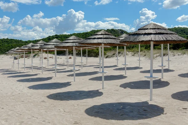 Sonnenschirme am Strand von liscia ruja in Sardinen — Stockfoto