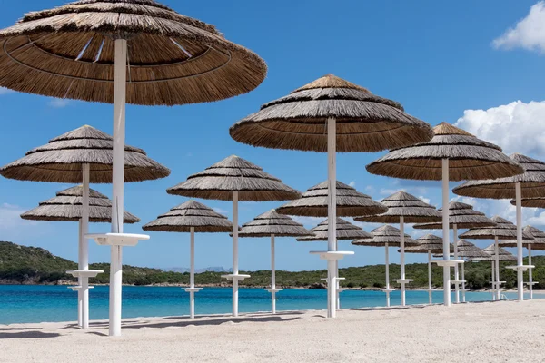 Sonnenschirme am Strand von liscia ruja in Sardinen — Stockfoto