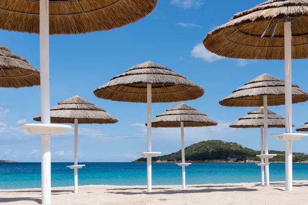 Sonnenschirme am Strand von liscia ruja in Sardinen — Stockfoto