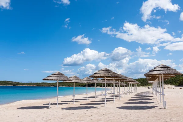 Sonnenschirme am Strand von liscia ruja in Sardinen — Stockfoto