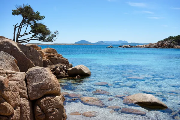 Nogal Een Inham Aan Kust Van Sardinië — Stockfoto