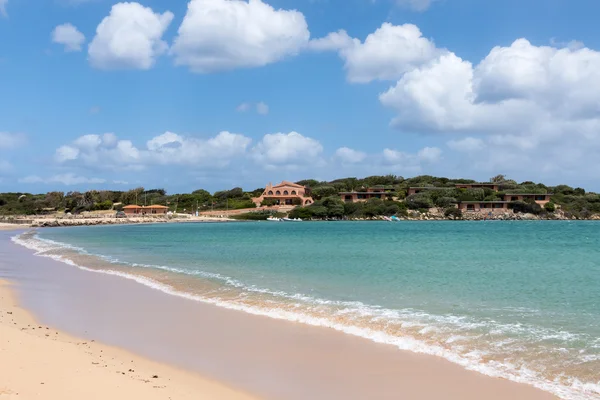 Der strand von porto pollo in sardinien — Stockfoto