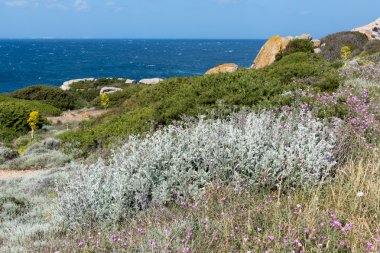 capo testa Sardunya, kıyı şeridi