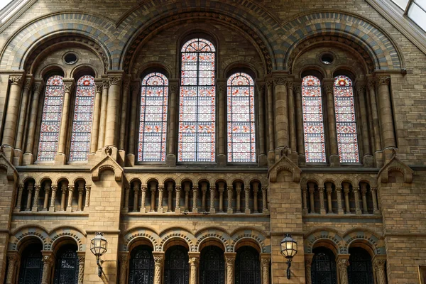 Vista interior do Museu de História Natural de Londres no dia 10 de junho — Fotografia de Stock