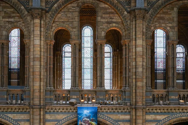 Vista interior do Museu de História Natural de Londres no dia 10 de junho — Fotografia de Stock