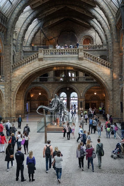 Menschen erkunden im Juni das National History Museum in London — Stockfoto