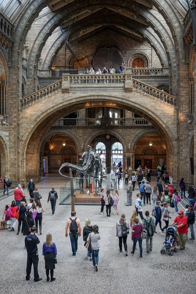 Menschen erkunden im Juni das National History Museum in London — Stockfoto