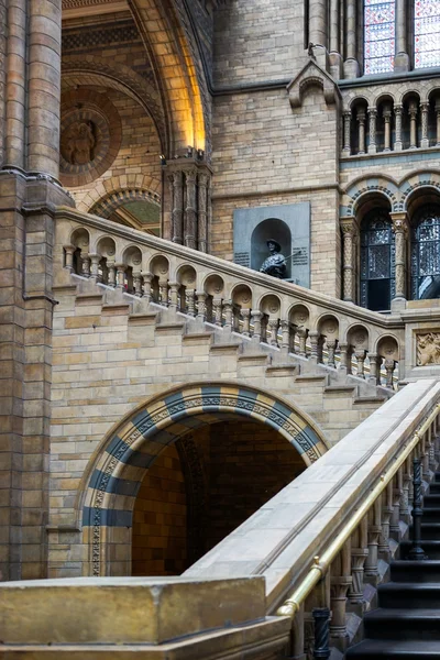 Schodiště v natural history museum v Londýně v červnu 10, 20 — Stock fotografie