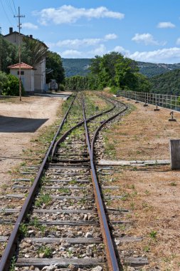Sardinya'lu lioni 20 Mayıs 2015 tarihinde terkedilmiş tren istasyonunda