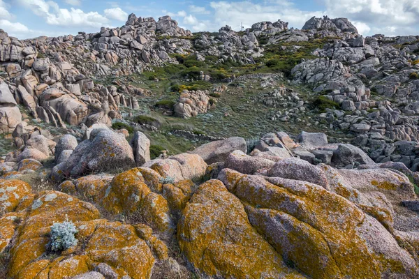 O litoral em Capo Testa Sardenha — Fotografia de Stock