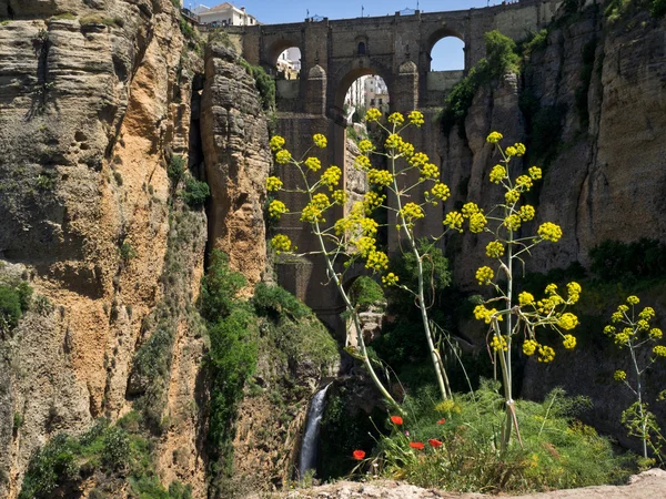 Vista del Puente Nuevo en Ronda España el 8 de mayo de 2014 —  Fotos de Stock