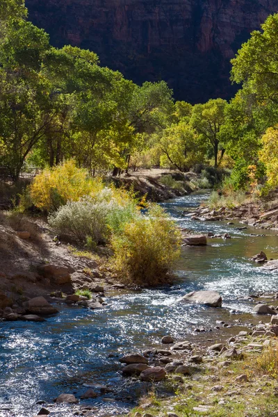 Pohled dolů Virgin River — Stock fotografie