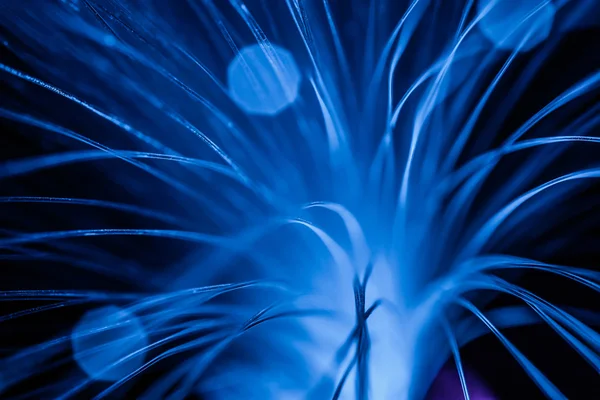 Fibre Optic Abstract — Stockfoto