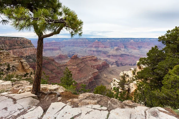 Il Grand Canyon — Foto Stock