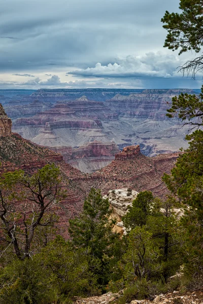 Grand Canyon — Stok Foto