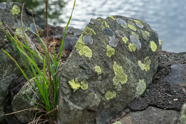 Roca cubierta de liquen en Ullswater — Foto de Stock
