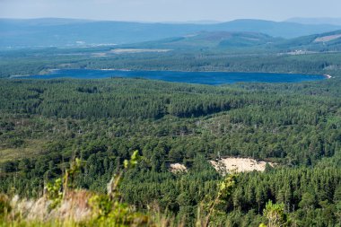 Loch Morlich doğru Cairngorms görünümünden