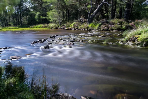 Loch Morlich nära Aviemore — Stockfoto