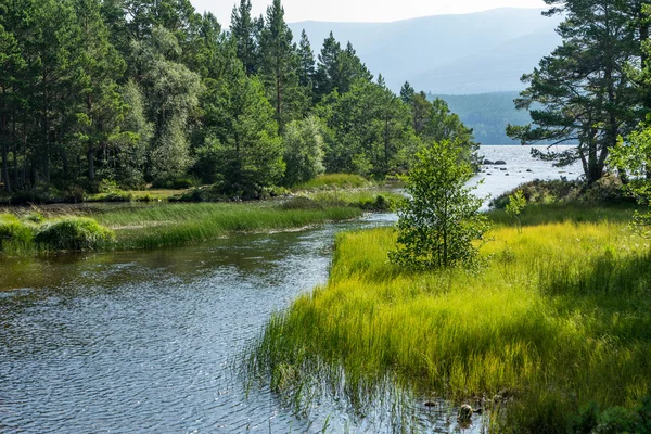 Loch Morlich w pobliżu Aviemore — Zdjęcie stockowe