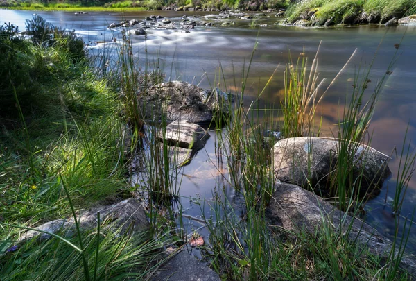 Loch Morlich near Aviemore — Stock Photo, Image