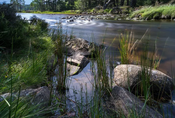 Loch morlich in der Nähe von aviemore — Stockfoto