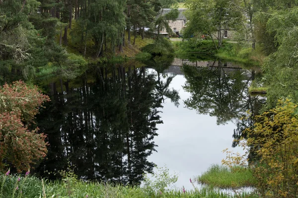 Pool outside Inshriach Farm near Insh Scotland — Stock Photo, Image