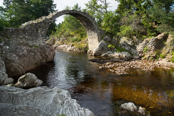 Packhorse bron vid Carrbridge — Stockfoto