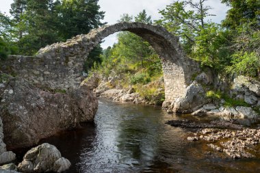 Carrbridge Packhorse köprüsünde