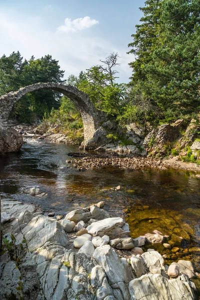 Packhorse bron vid Carrbridge — Stockfoto