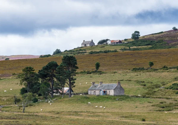 Våningshus nær Lochindorb – stockfoto