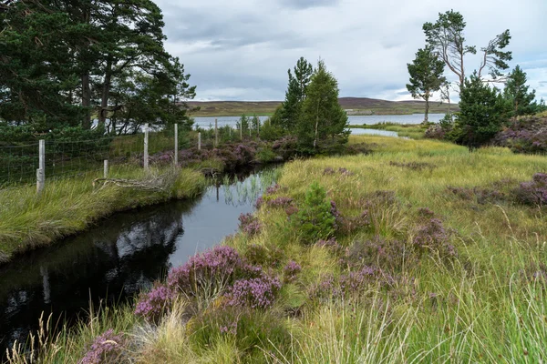 Landskap ved Lochindorb – stockfoto