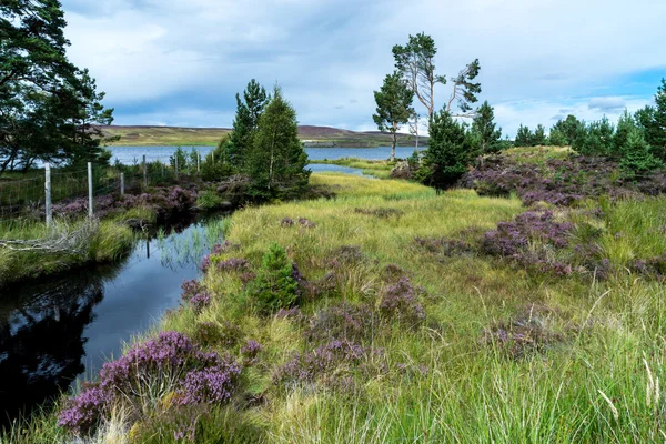 Landschaft bei lochindorb — Stockfoto