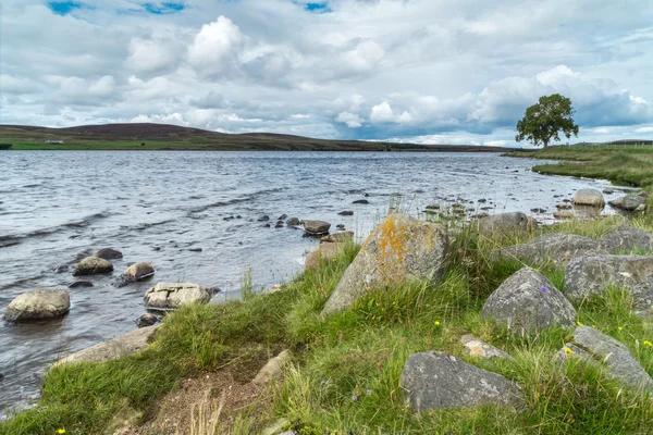 Landsbygden på Lochindorb — Stockfoto