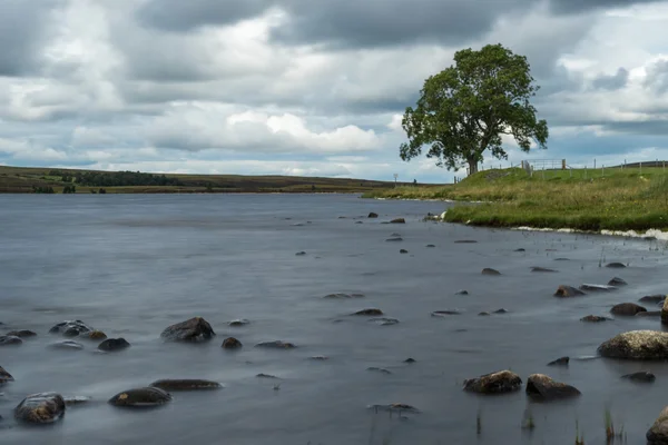 Landsbygden på Lochindorb — Stockfoto