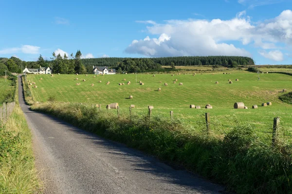 Хуторі біля Culloden — стокове фото