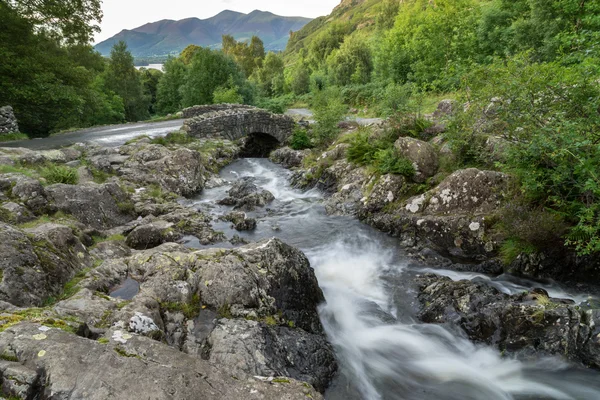 Schambeinbrücke — Stockfoto