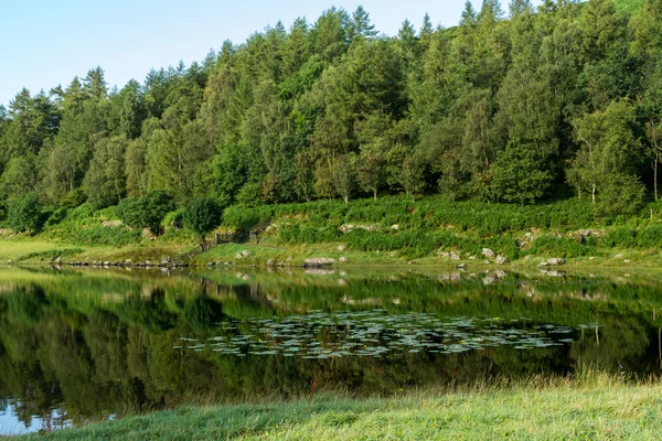 Watendlath Tarn — Stock fotografie