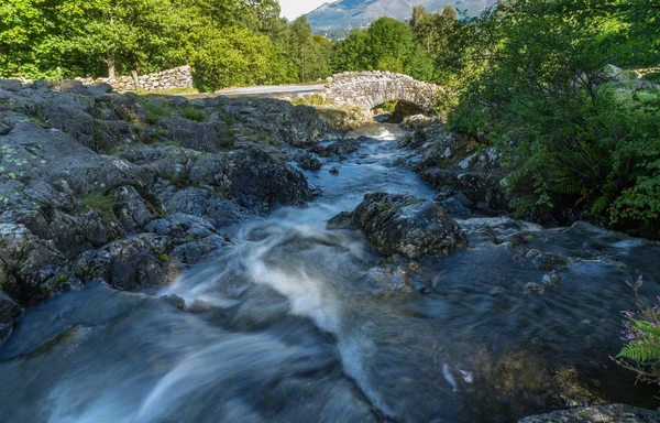 Schambeinbrücke — Stockfoto