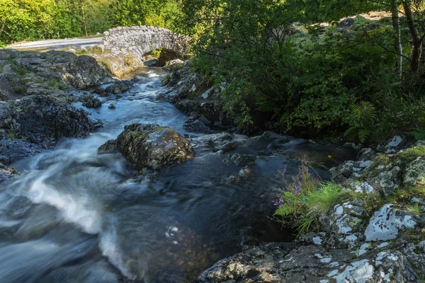 Ponte di cenere — Foto Stock